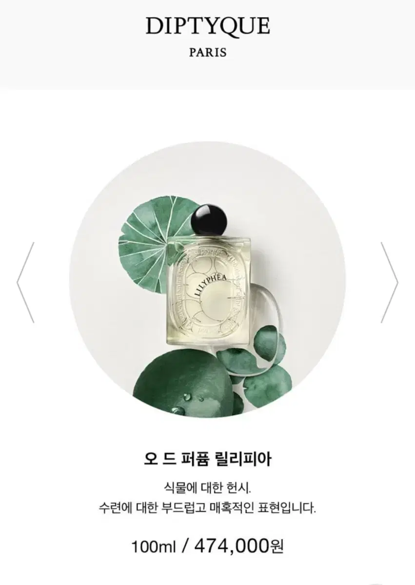 (새상품_향수) 딥티크 100ml 오드 퍼퓸 릴리피아